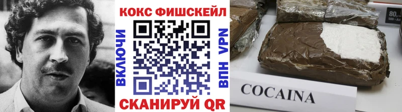 купить закладку Губкин Cocaine 97%