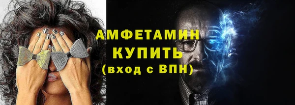 шишки Анива