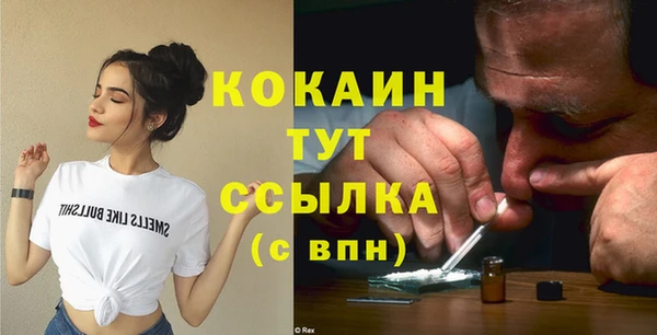 дмт Горняк