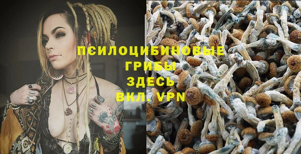 марки lsd Горнозаводск