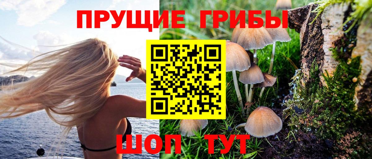 Псилоцибиновые грибы Губкин