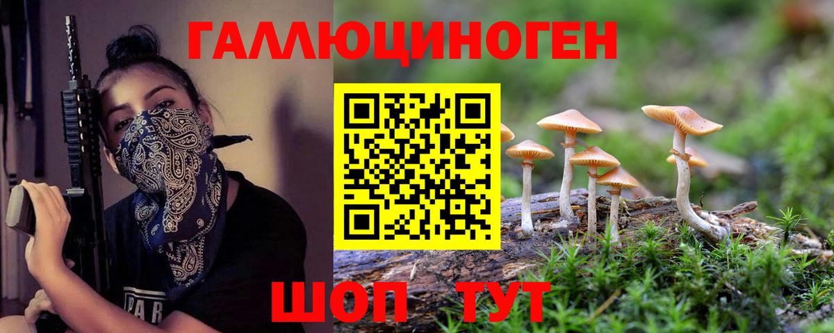 Псилоцибиновые грибы мухоморы Губкин
