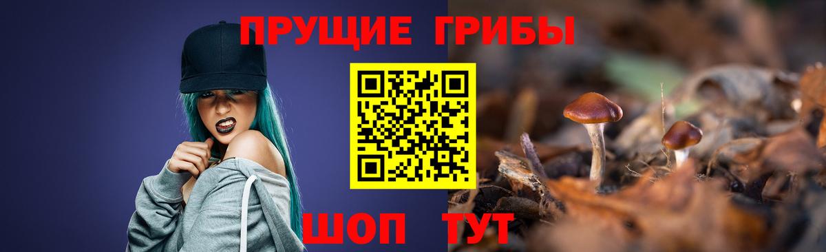 Галлюциногенные грибы прущие грибы Губкин