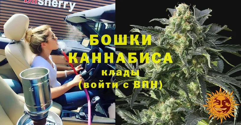 сколько стоит  МЕГА ссылка  Бошки Шишки THC 21%  Губкин 